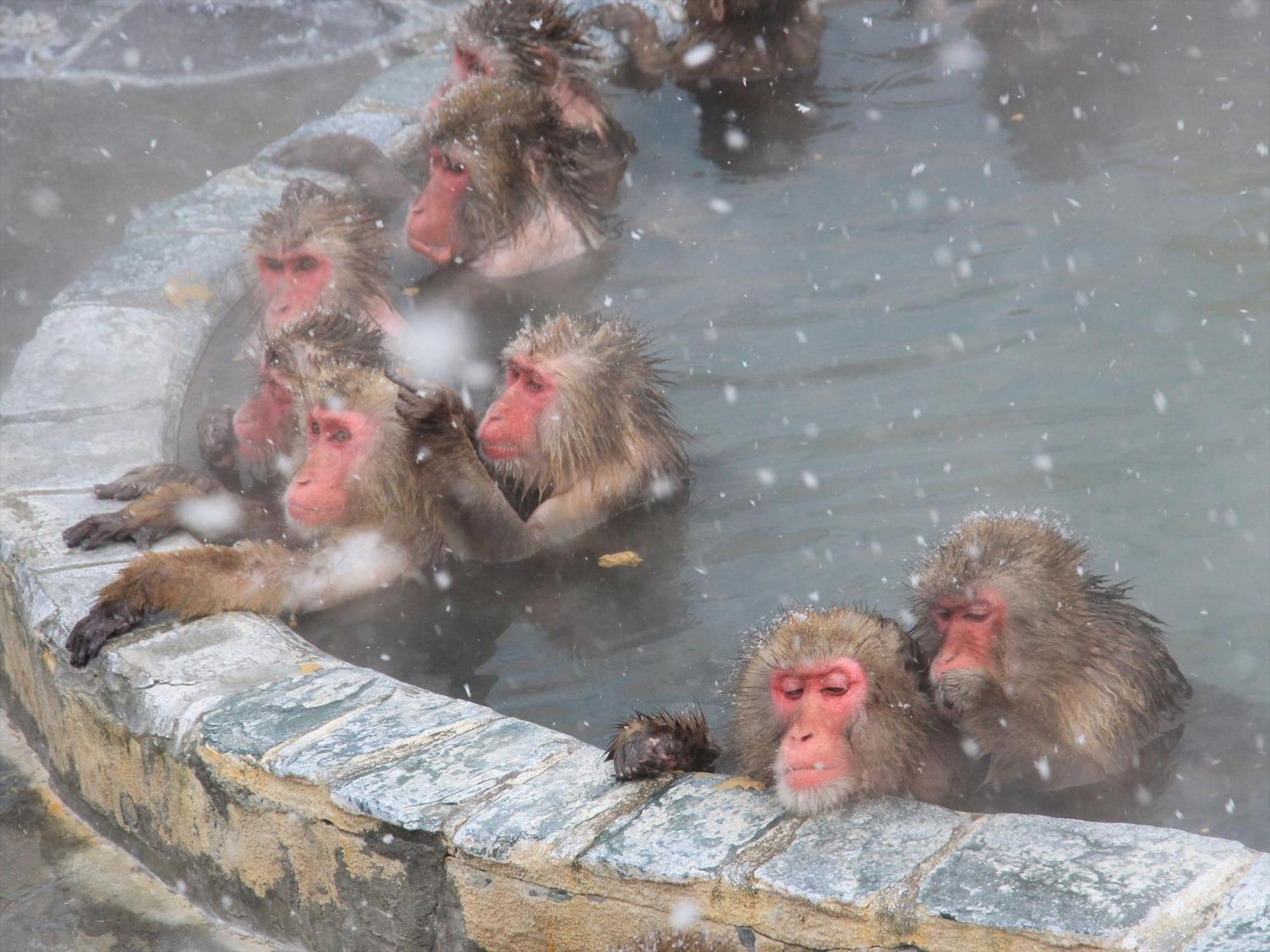 Gran Palette Hakodate Dış mekan fotoğraf